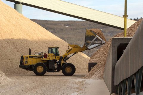 Front loader carrying hardwood chips to a chip pile at the Mercer Peace River pulp mill near Peace River, Alberta, Canada
