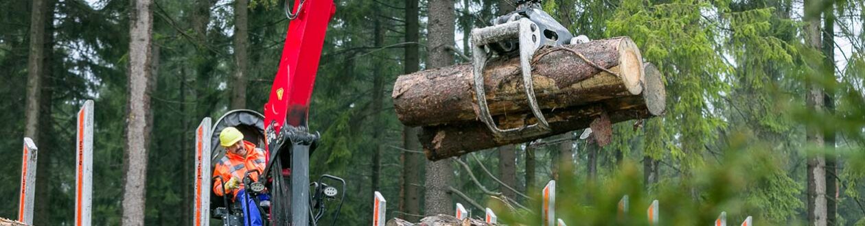 An operator in a grappler loading roundwood into a truck bed at a Mercer Holz work site in the Harz Mountains