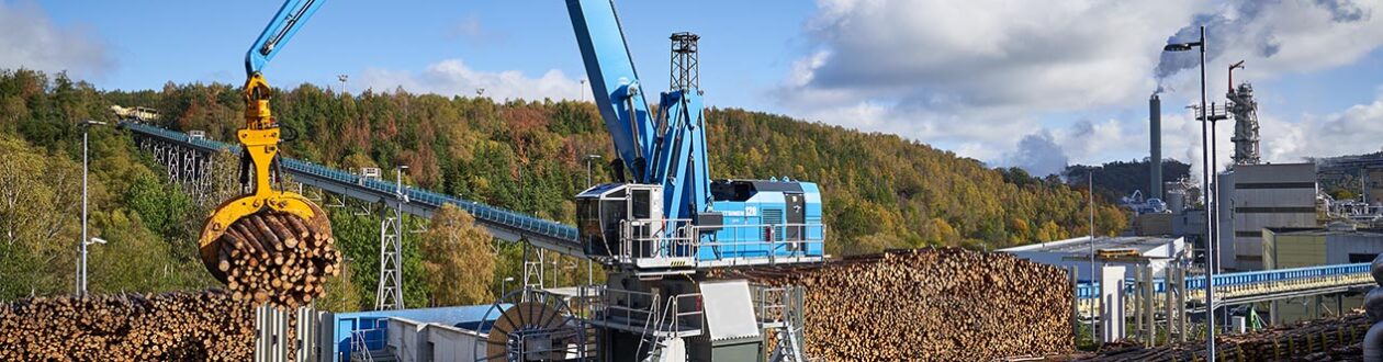 A grappler unloading roundwood off of a train in the Mercer Rosenthal yard, in Rosenthal am Rennsteig, Germany.