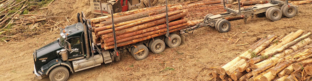Log truck carrying load of roundwood through a Mercer Celgar work site