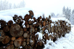 A pile of roundwood on a Mercer Holz work site in the winter