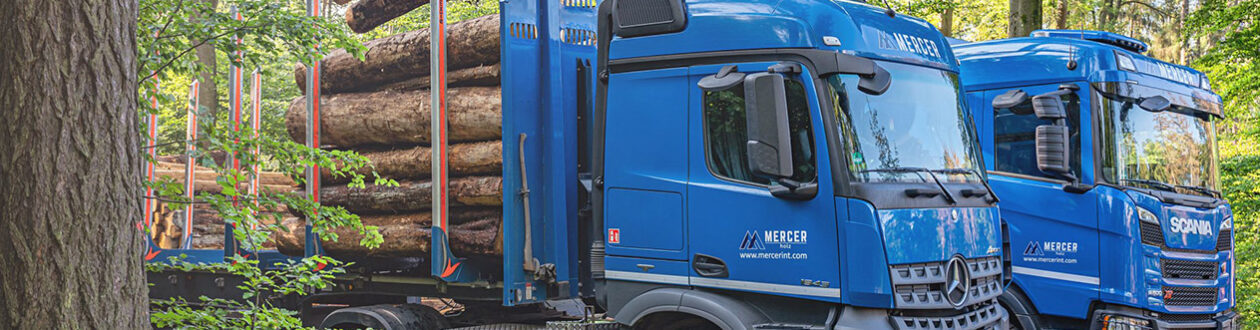 Two Mercer Holz trucks, parked and being loaded with roudnwood, at a work site in the Harz Mountains