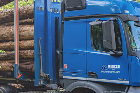 Two Mercer Holz trucks, parked and being loaded with roudnwood, at a work site in the Harz Mountains