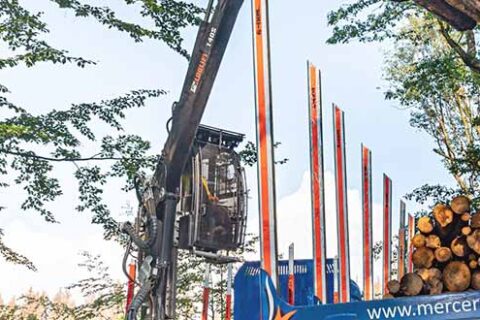 A grappler loading roundwood onto a truck bed at a Mercer Holz work site in the Harz Mountains.