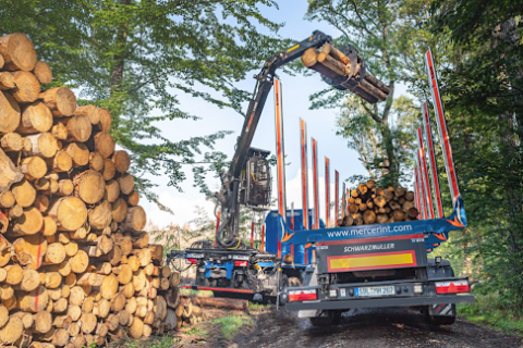 A grappler loading roundwood onto a truck bed at a Mercer Holz work site in the Harz Mountains.