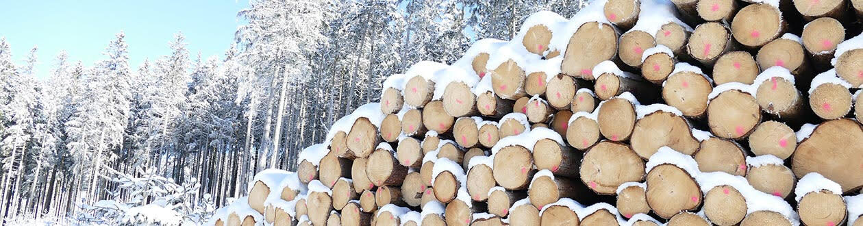 A pile of roundwood on a Mercer work site in the winter