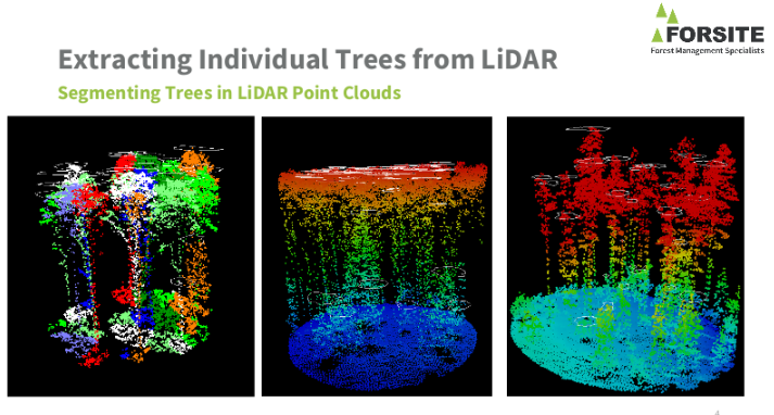 LiDAR point clouds on black background showing tree segmentation. Panel 1: individual trees by color. Panel 2: height-coded raw data. Panel 3: segmented crowns.