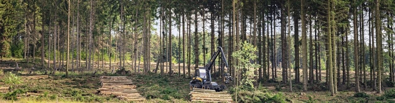 A forest in the Harz Mountains, Germany during the summer, with a Mercer Holz harvester working