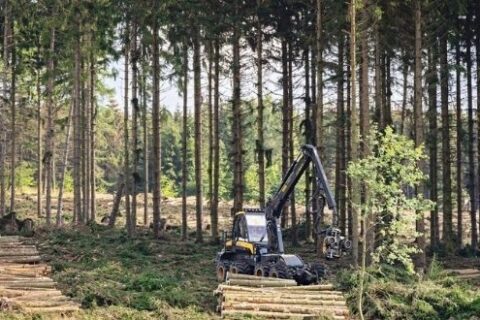 A forest in the Harz Mountains, Germany during the summer, with a Mercer Holz harvester working