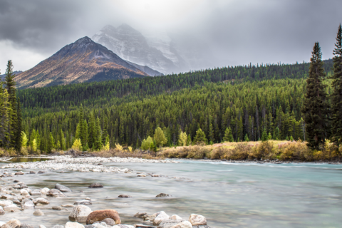 Beautiful landscape photo of the Peace River, Alberta, Canada, with forests in the background and a rocky bank in the foreground.