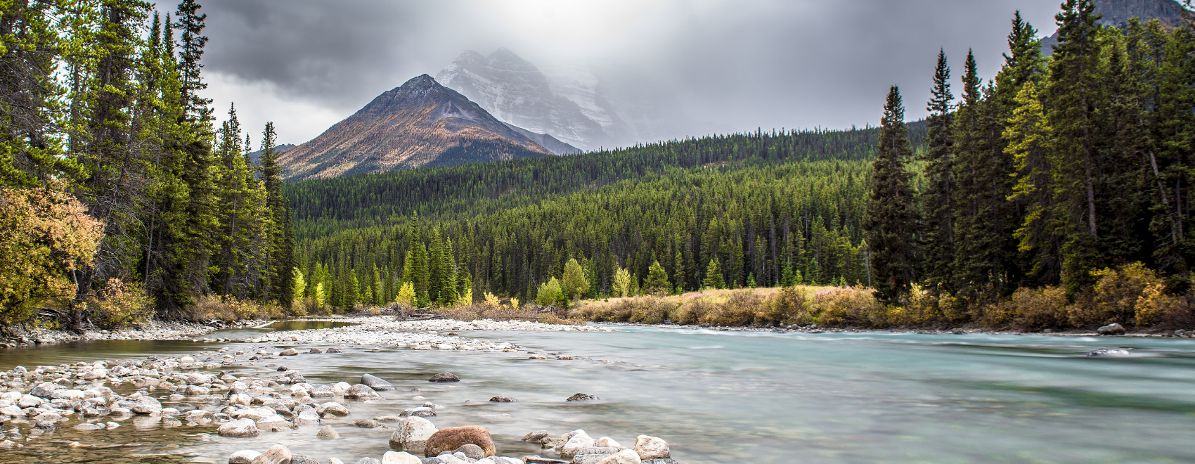 Beautiful landscape photo of the Peace River, Alberta, Canada, with forests in the background and a rocky bank in the foreground.