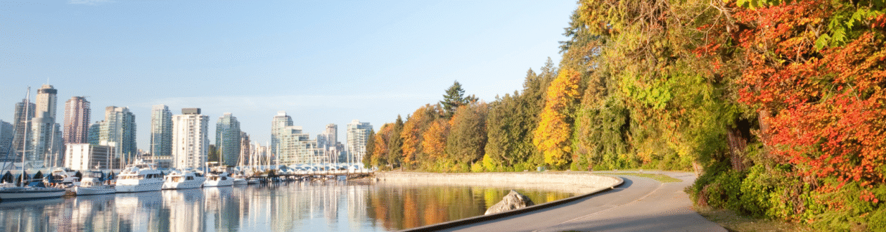 Panorama: City skyline with marina on the left, colorful autumn trees and riverside path on the right. Water reflects sky and city.