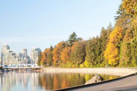 Panorama: City skyline with marina on the left, colorful autumn trees and riverside path on the right. Water reflects sky and city.