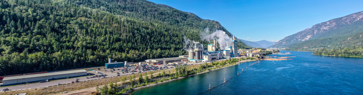 Mercer Celgar Pulp mill landscape