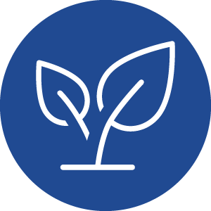 Membership for Respectful Relationships