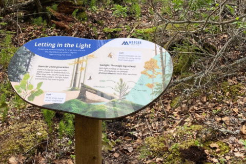 Mercer Peace River installed signage at the Leddy Lake Trail.